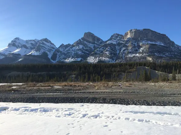 Naturskön Utsikt Över Icefield Parkway Solig Dag — Stockfoto