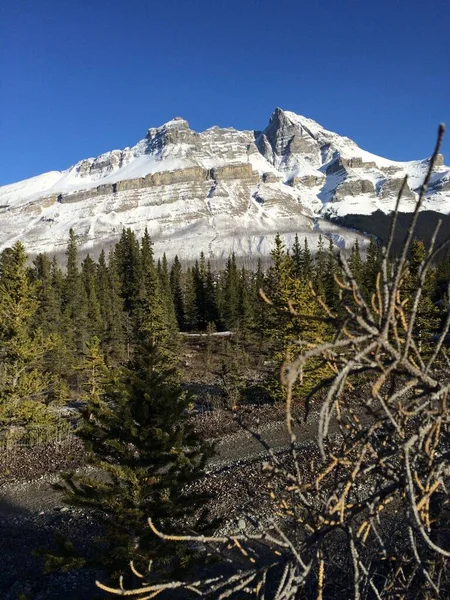 Vista Panorámica Del Icefield Parkway Día Soleado —  Fotos de Stock