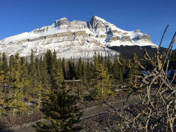 Vista Panorámica Del Icefield Parkway Día Soleado —  Fotos de Stock