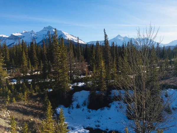 Scenic Kilátás Icefield Parkway Egy Napsütéses Napon — Stock Fotó