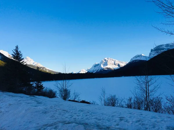 Vista Panoramica Del Parco Icefield Una Giornata Sole — Foto Stock