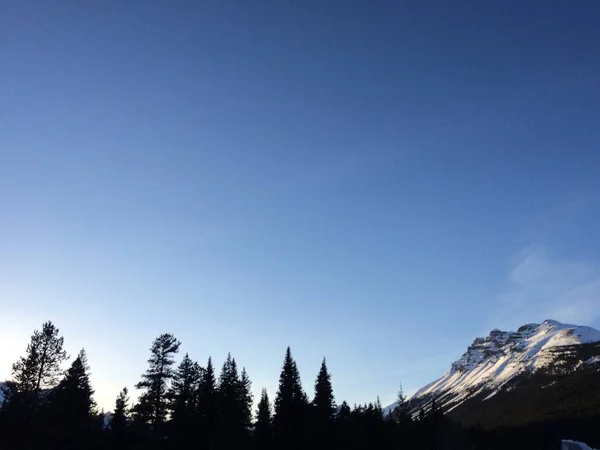 Güneşli Bir Günde Icefield Parkway Manzarası — Stok fotoğraf