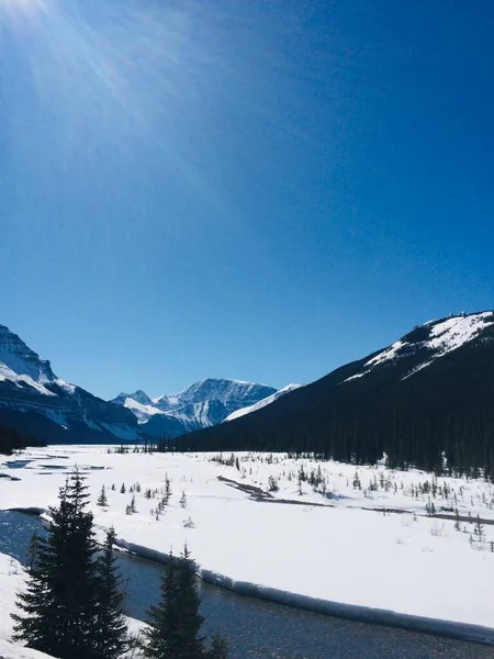 Parc National Jasper Avec Ciel Bleu Parfait — Photo