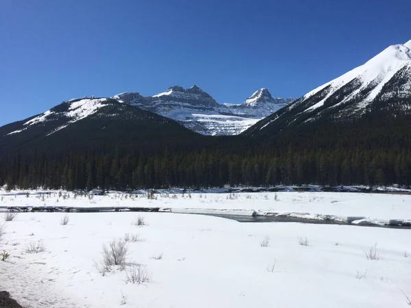 Jasper National Park Perfect Blue Skies — Stock Photo, Image