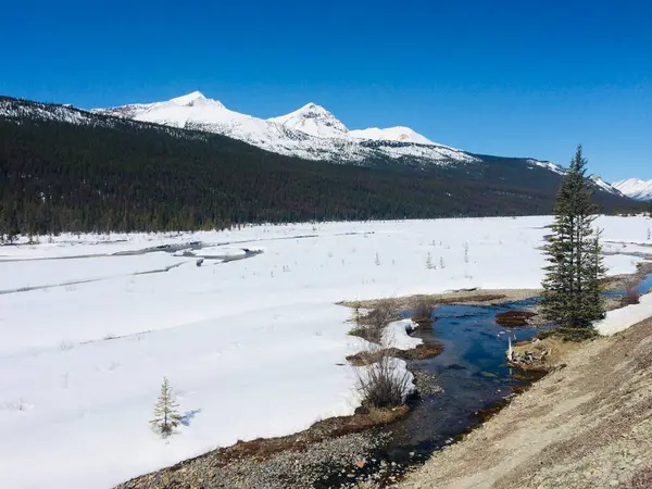 Jasper National Park Perfect Blue Skies — Stock Photo, Image