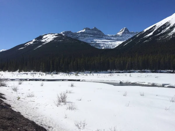 Jasper National Park Met Perfecte Blauwe Luchten — Stockfoto