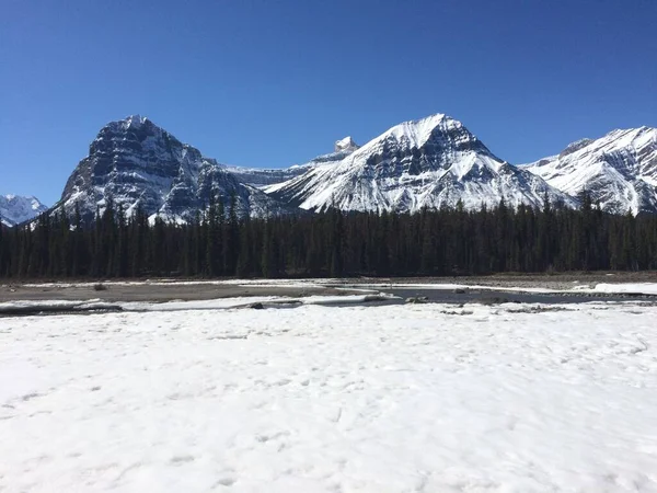 Jasper National Park Met Perfecte Blauwe Luchten — Stockfoto