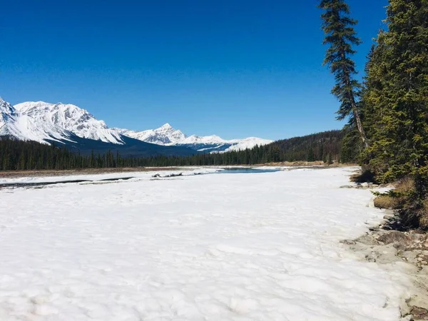 Jasper National Park Perfect Blue Skies — Stock Photo, Image