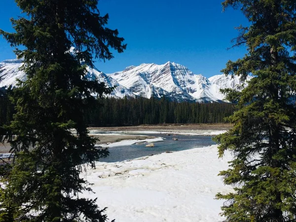Jasper National Park Met Perfecte Blauwe Luchten — Stockfoto