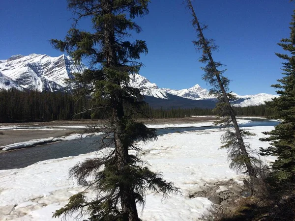 Jasper National Park Perfect Blue Skies — Stock Photo, Image