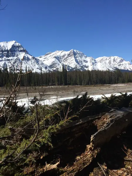 Jasper National Park Met Perfecte Blauwe Luchten — Stockfoto