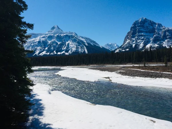 Jasper National Park Perfect Blue Skies — Stock Photo, Image