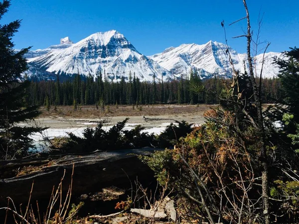 Jaspers Nationalpark Med Perfekt Blå Himmel — Stockfoto