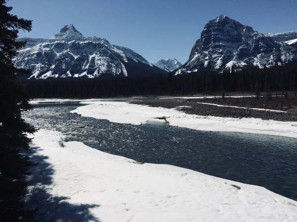 Jasper National Park Dengan Langit Biru Yang Sempurna — Stok Foto