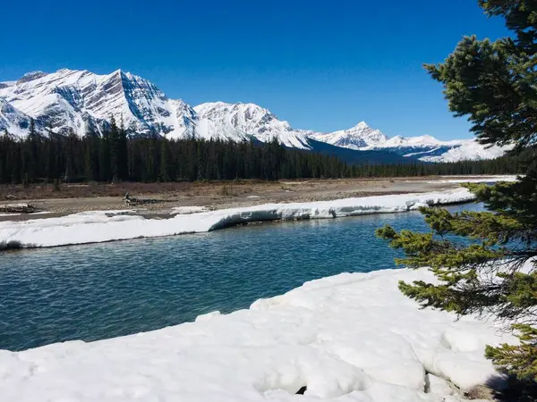 Jasper National Park Perfect Blue Skies — Stock Photo, Image