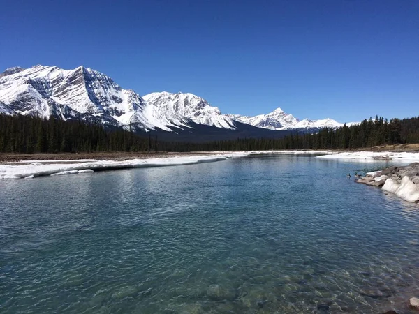 Parque Nacional Jasper Con Cielos Azules Perfectos —  Fotos de Stock