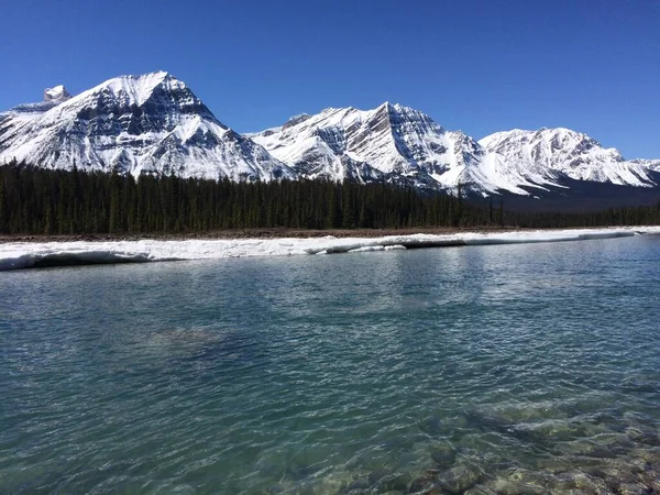 Parc National Jasper Avec Ciel Bleu Parfait — Photo