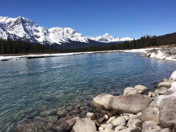 Jasper National Park Perfect Blue Skies — Stock Photo, Image