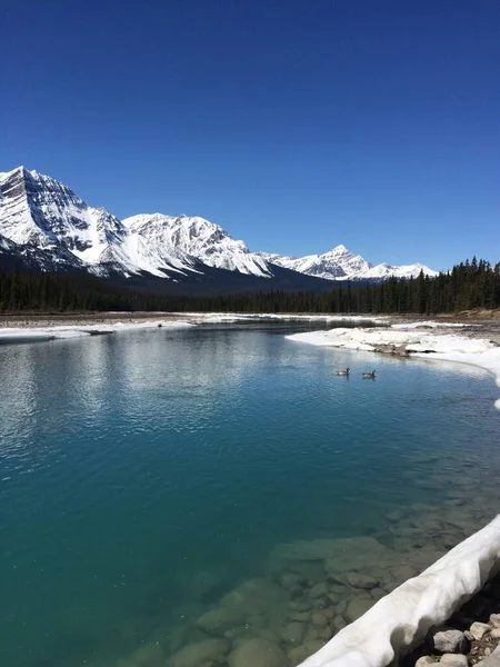 Parque Nacional Jasper Con Cielos Azules Perfectos —  Fotos de Stock