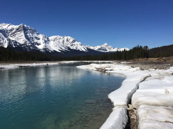 Parque Nacional Jasper Con Cielos Azules Perfectos —  Fotos de Stock