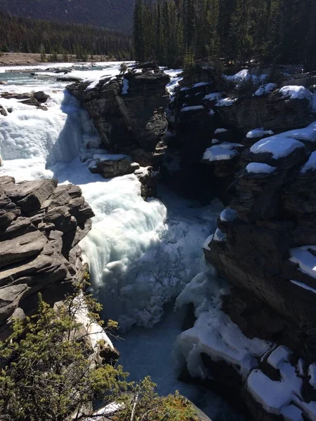 Parque Nacional Jasper Com Céu Azul Perfeito — Fotografia de Stock