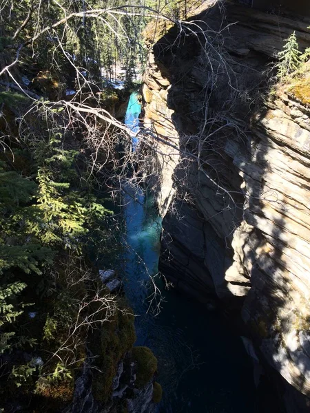 Parque Nacional Jasper Com Céu Azul Perfeito — Fotografia de Stock