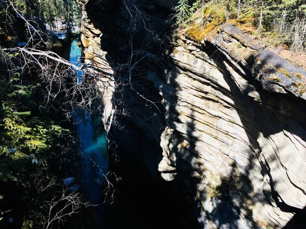 Park Narodowy Jasper Doskonałym Błękitnym Niebem — Zdjęcie stockowe