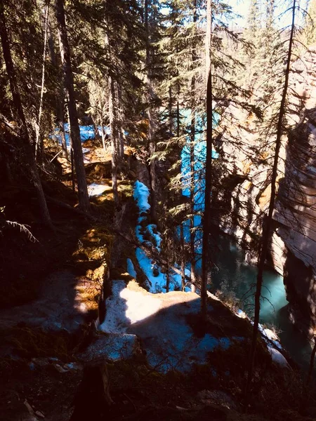 Parque Nacional Jasper Com Céu Azul Perfeito — Fotografia de Stock