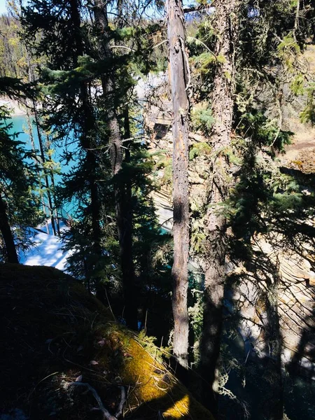 Parque Nacional Jasper Com Céu Azul Perfeito — Fotografia de Stock