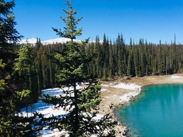 Parc National Jasper Avec Ciel Bleu Parfait — Photo
