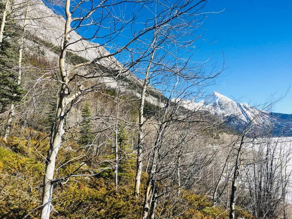 Jasper Nationalpark Mit Perfektem Blauen Himmel — Stockfoto