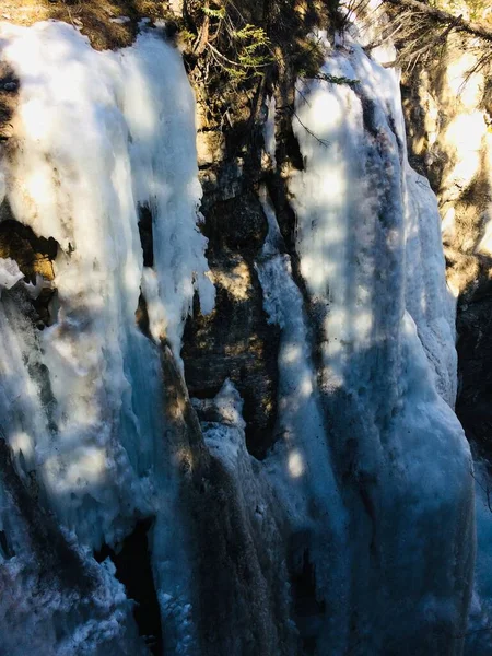 Parc National Jasper Avec Ciel Bleu Parfait — Photo