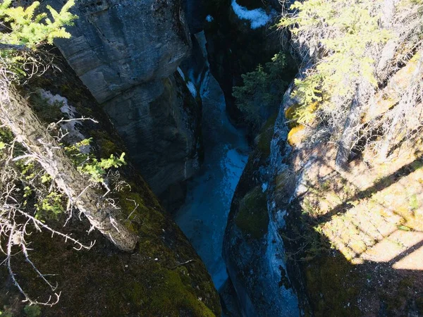 Jaspers Nationalpark Med Perfekt Blå Himmel — Stockfoto