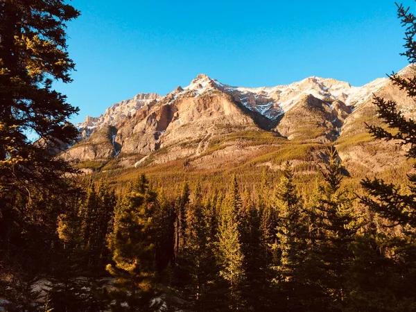 Parc National Jasper Avec Ciel Bleu Parfait — Photo