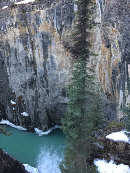 Parque Nacional Jasper Com Céu Azul Perfeito — Fotografia de Stock