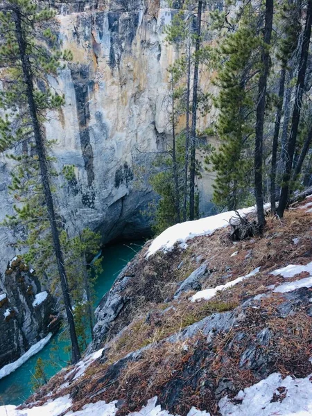 Parque Nacional Jasper Com Céu Azul Perfeito — Fotografia de Stock