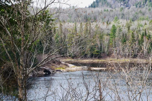 Vackra Maurice Floden Södra Quebec — Stockfoto