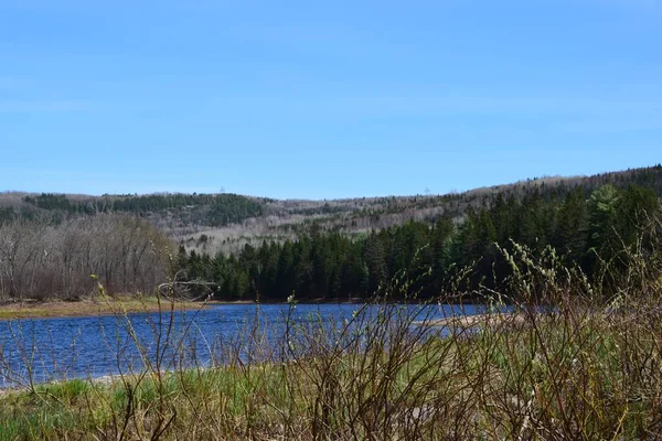 Vackra Maurice Floden Södra Quebec — Stockfoto