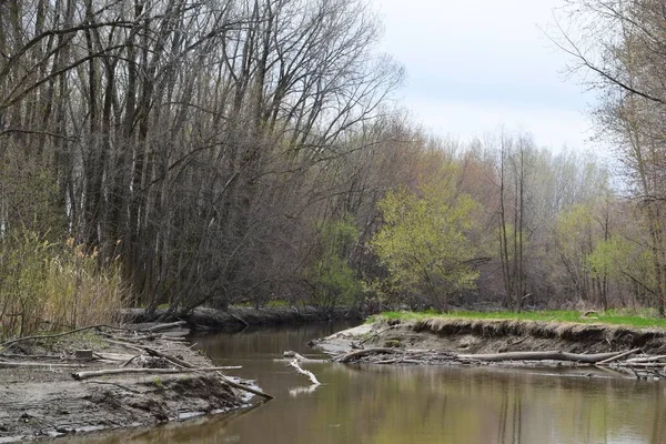 Naturreservat Der Halbinsel Yamachiche Quebec — Stockfoto