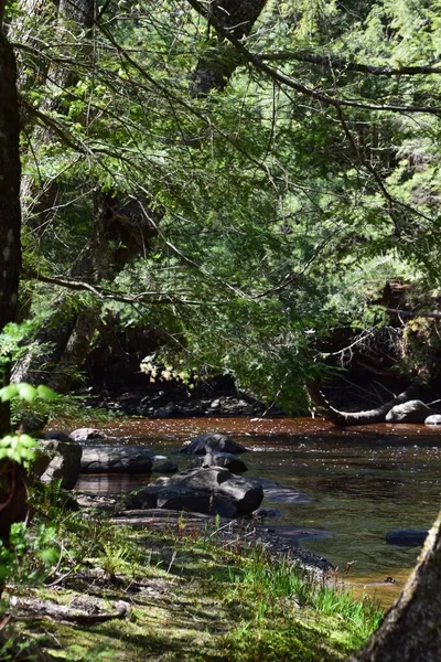 Regionaal Park Van Gentilly Rivier — Stockfoto