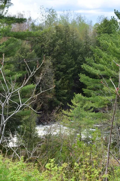 Chutes Maddington Dans Sud Québec — Photo