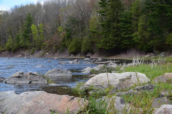 Maddington Cade Nel Quebec Meridionale — Foto Stock