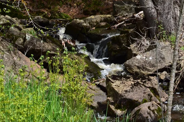 Maddington Valt Het Zuiden Van Quebec — Stockfoto