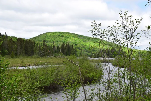 Lago Archambault Mont Tremblant Parque Provincial — Foto de Stock