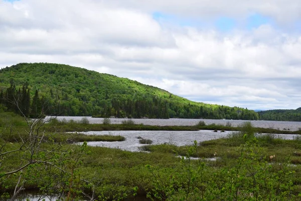 Lac Archambault Dans Parc Provincial Mont Tremblant — Photo