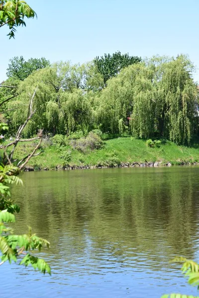 Der Prairies River Gegenüber Der Insel Montreal — Stockfoto