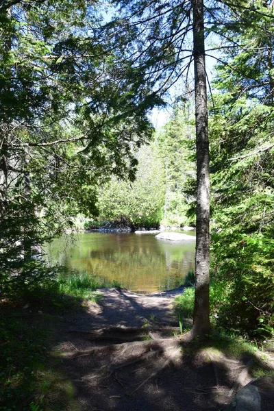 Park Doncaster River Süden Quebecs — Stockfoto