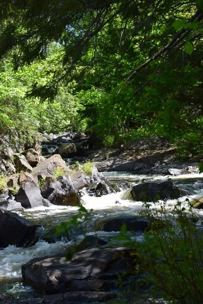 Doncaster Folyó Parkja Quebec Déli Részén — Stock Fotó