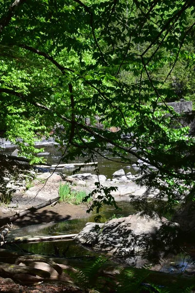 Park Doncaster River Süden Quebecs — Stockfoto