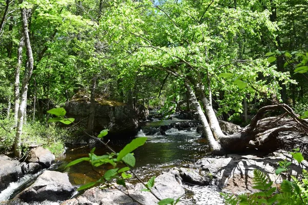 Parque Rio Doncaster Sul Quebec — Fotografia de Stock